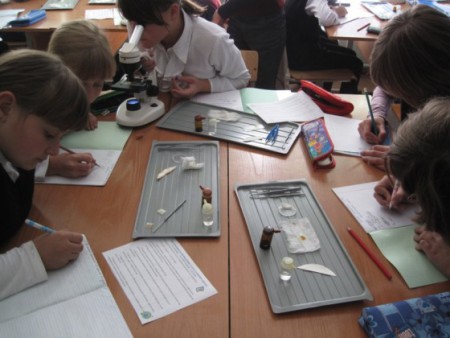 Лабораторная работа в 6б классе 